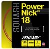 Ashaway PowerNick 18 + serwis